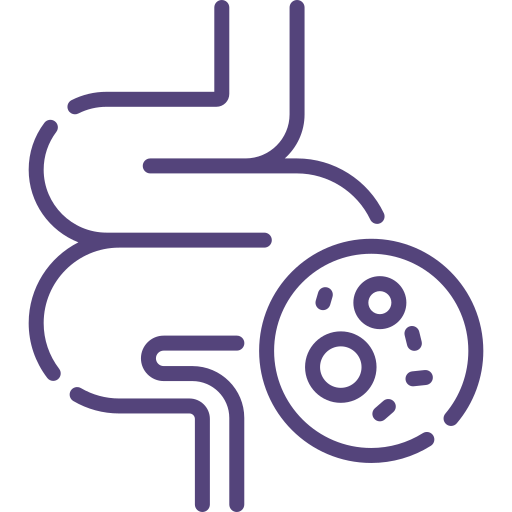 Darmen en Spijsvertering icoon